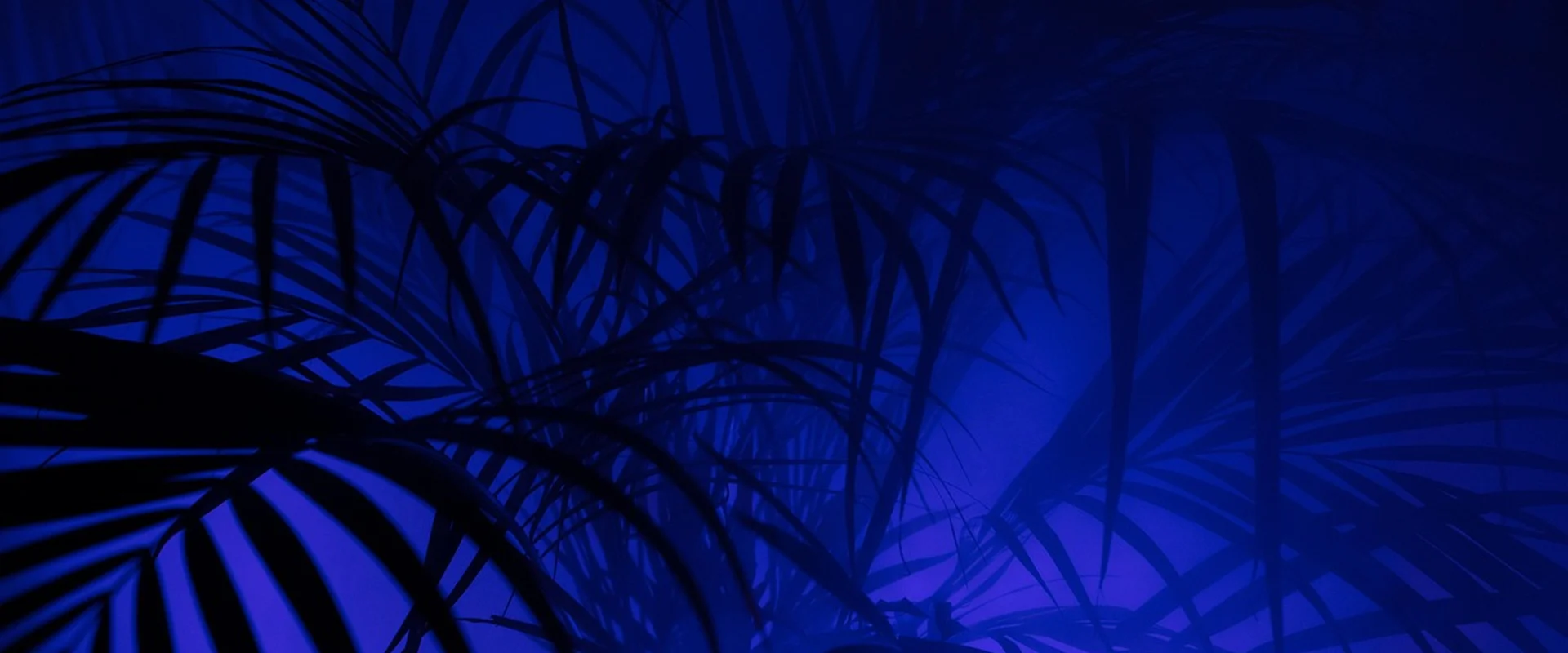 炸金花下载PG电子